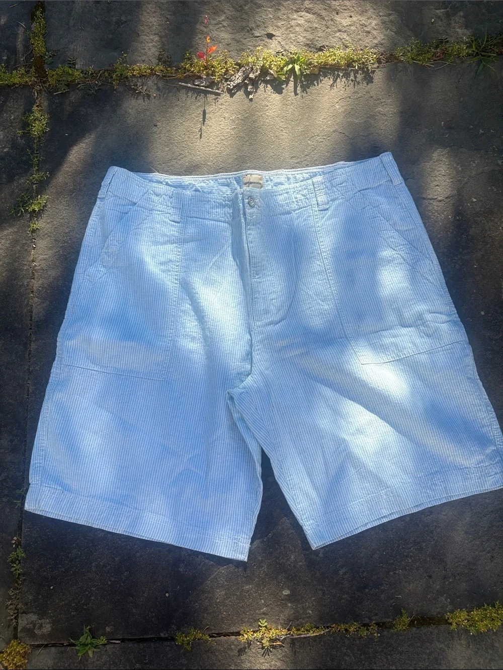 G.H. Bass & Co. Light Blue Flat Front Shorts